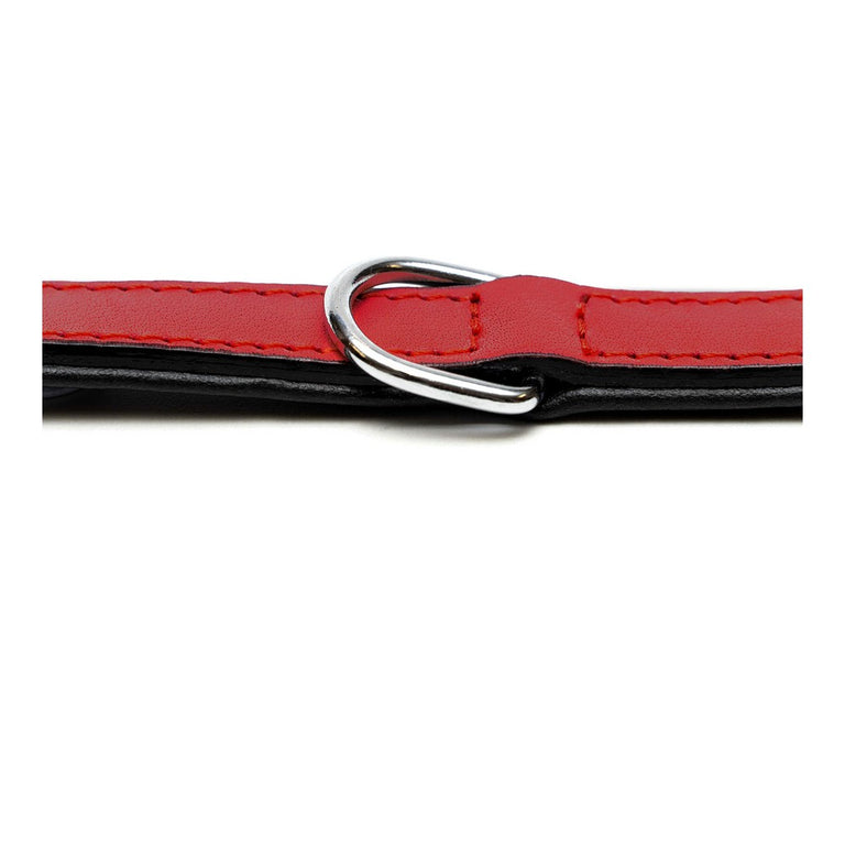 Collier pour Chien Gloria Rembourré Rouge 55 cm (55 x 2,5 cm)