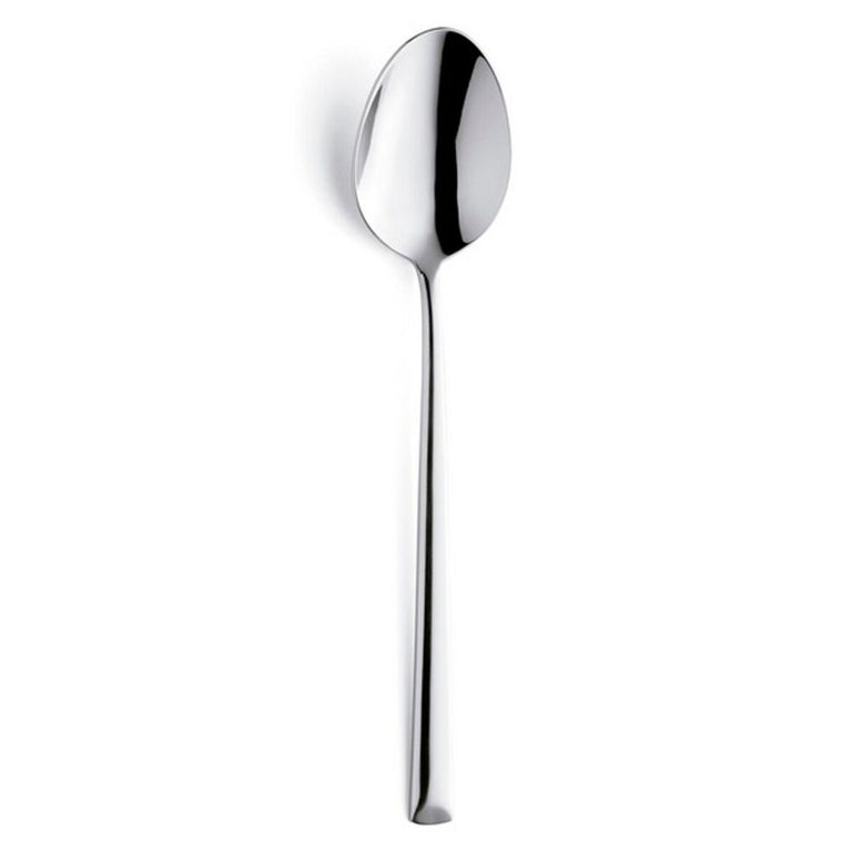 Ensemble de Cuillères Amefa Metropole Métal 21 cm 12 Unités
