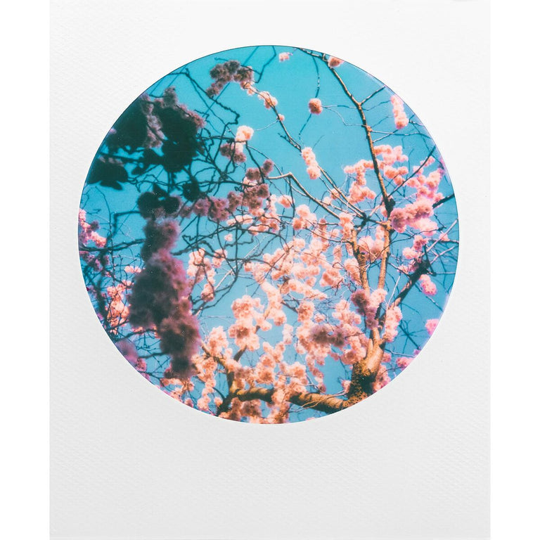 Pellicule Photo Instantanée Polaroid Film 600 Round Frame