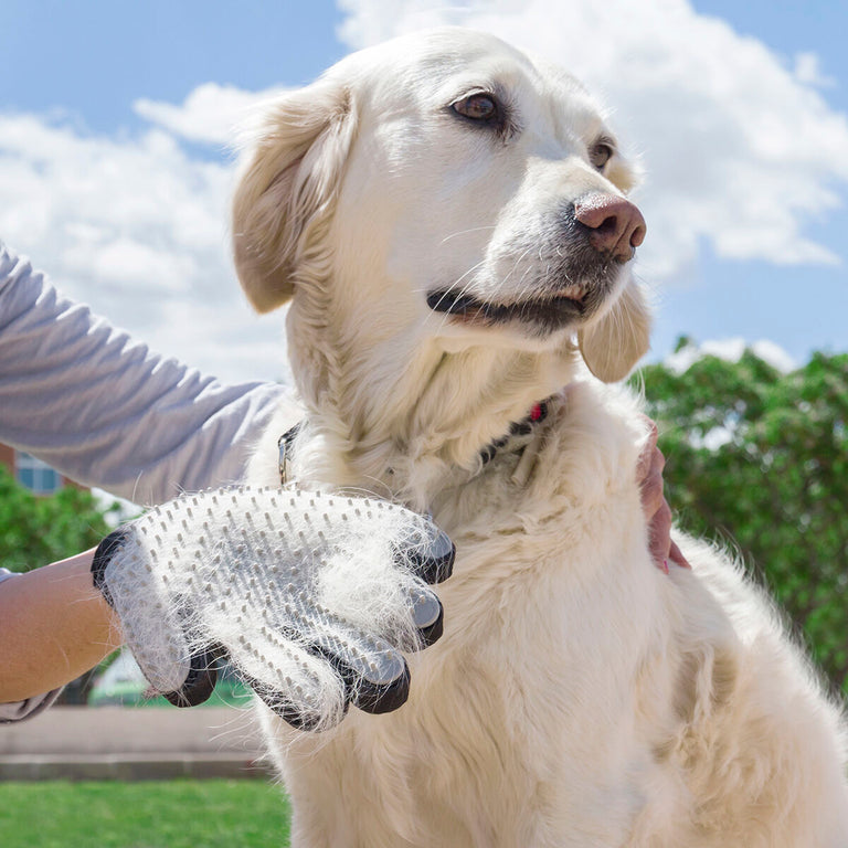Gant pour Brosser et Masser les Animaux Domestiques Relpet InnovaGoods
