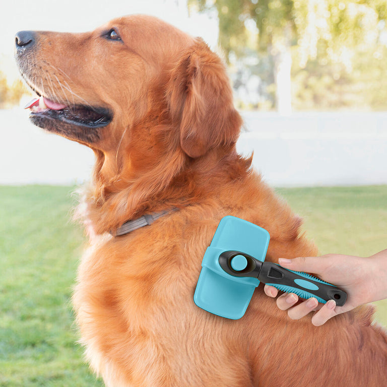 Brosse pour Animaux de Compagnie avec Dents Rétractables Groombot InnovaGoods