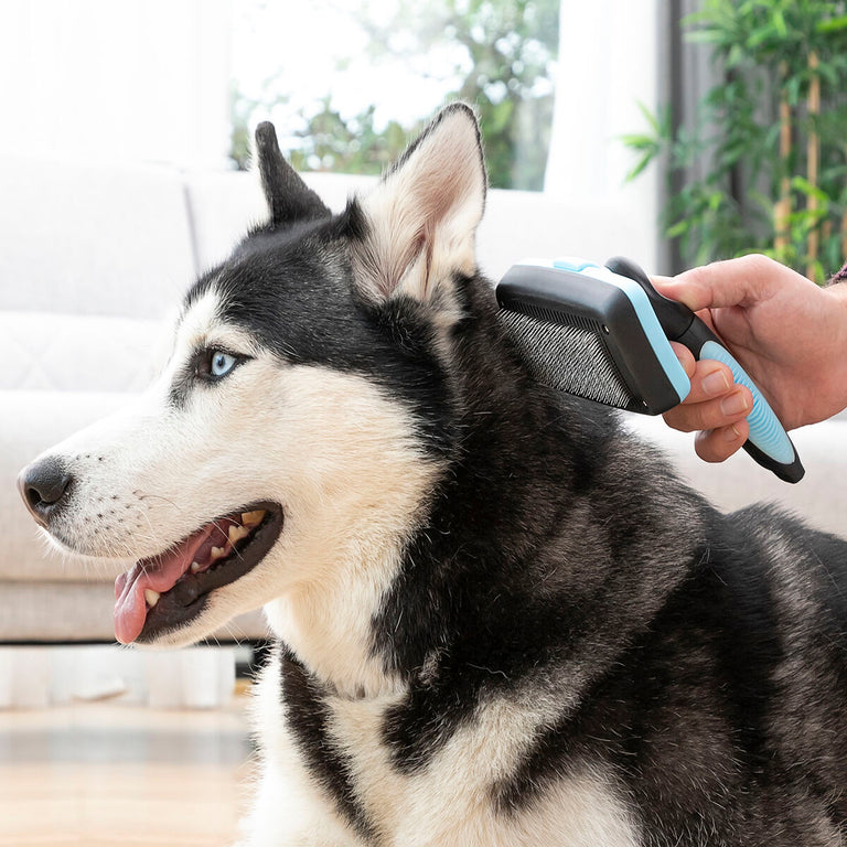Brosse pour Animaux de Compagnie avec Dents Rétractables Groombot InnovaGoods