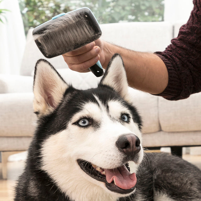 Brosse pour Animaux de Compagnie avec Dents Rétractables Groombot InnovaGoods