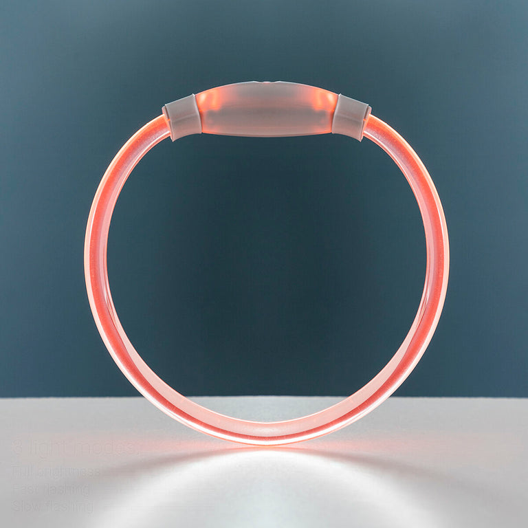 Collier à LED pour Animaux Petlux InnovaGoods