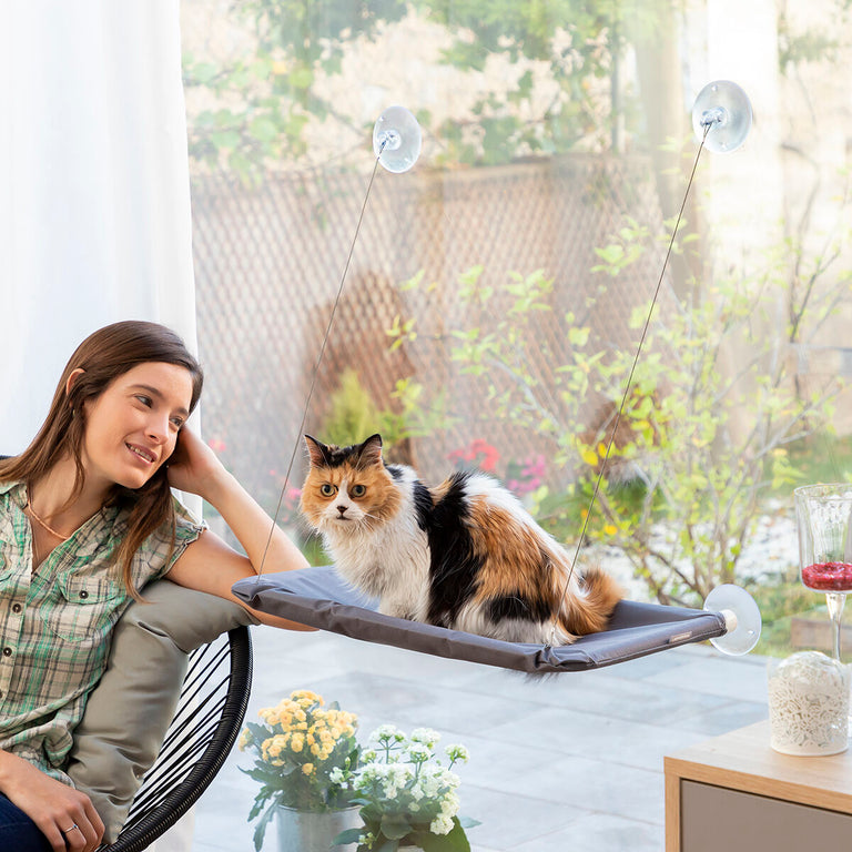 Hamac Suspendu pour Chats Catlax InnovaGoods