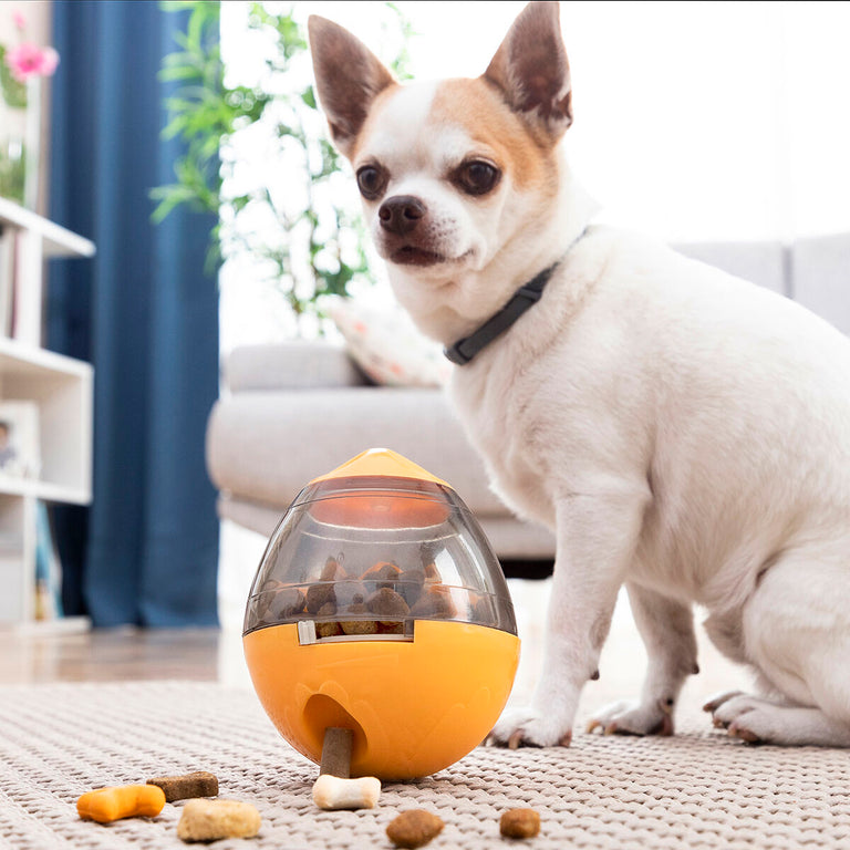 Jouet Distributeur de Friandises pour Animaux2 en 1 Petyt InnovaGoods
