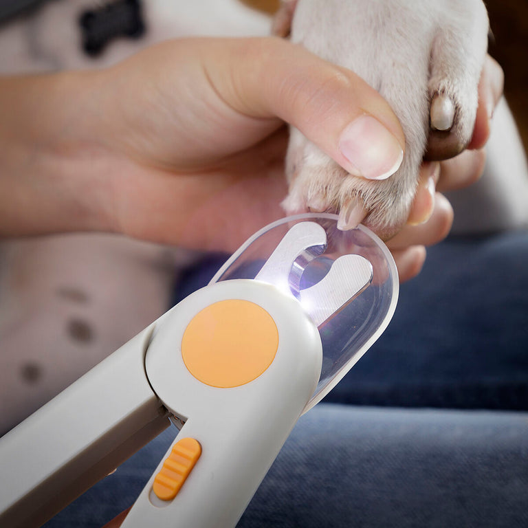 Coupe-griffes avec LED pour Animaux de Compagnie Clipet InnovaGoods