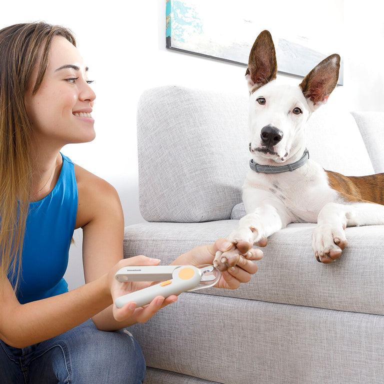 Coupe-griffes avec LED pour Animaux de Compagnie Clipet InnovaGoods