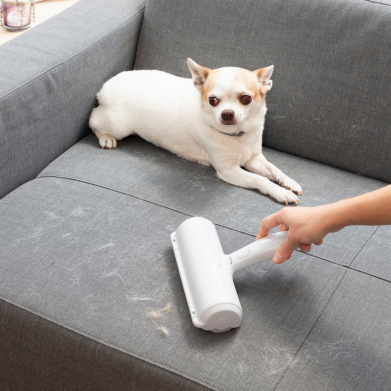 Rouleau Anti-poil d’Animaux Rellair InnovaGoods